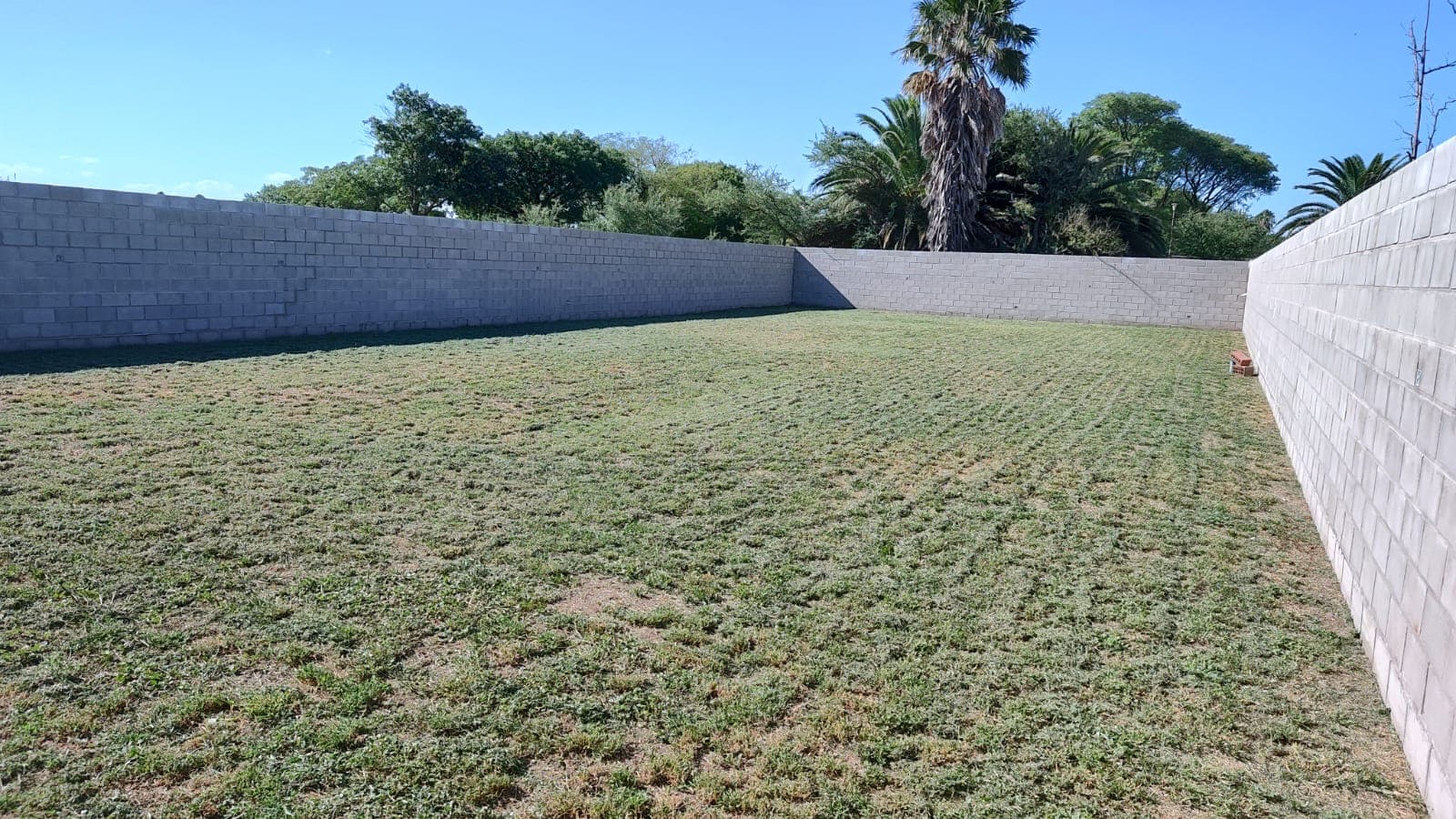 LOTE